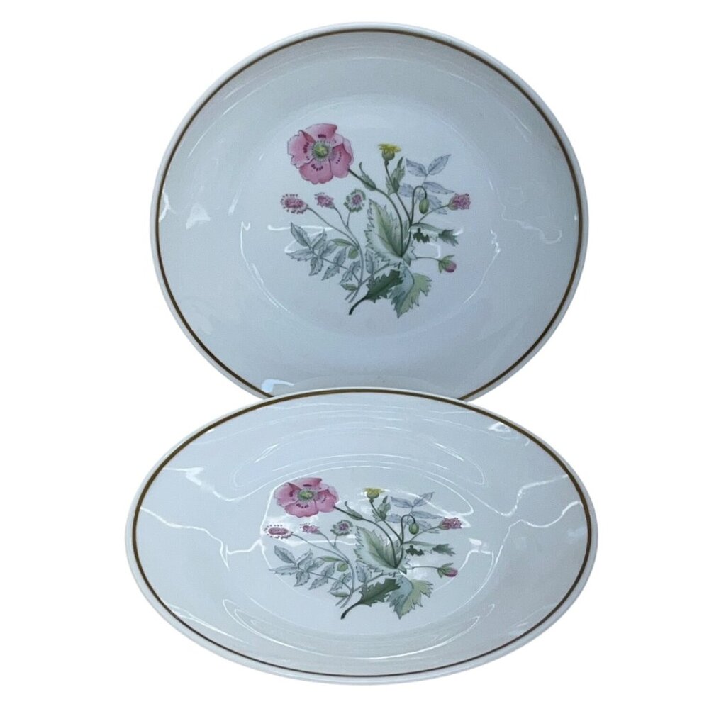 2 Richard Ginori Primavera Pink Floral Salad Plates Italy 8"